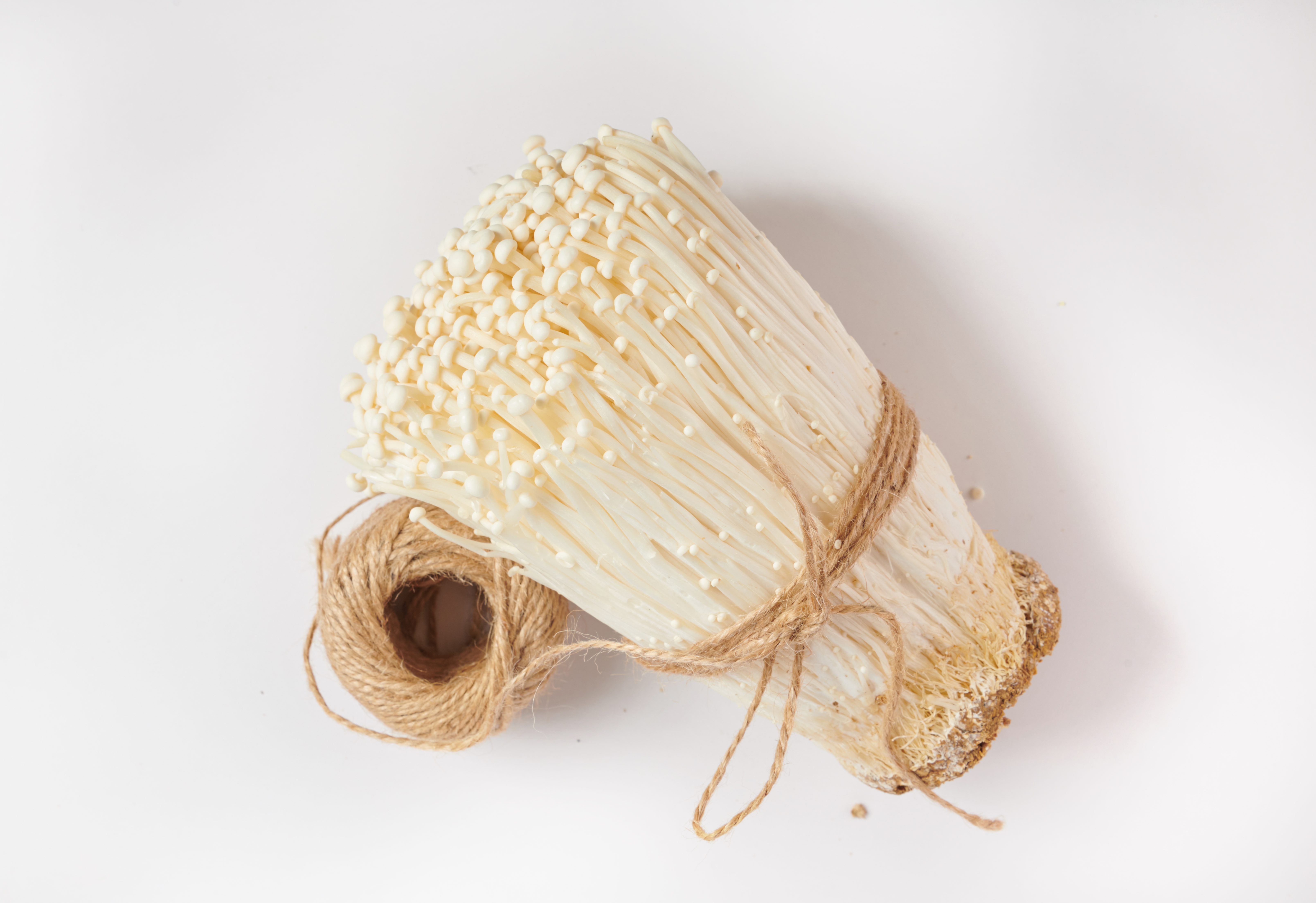 Gobelek Enoki